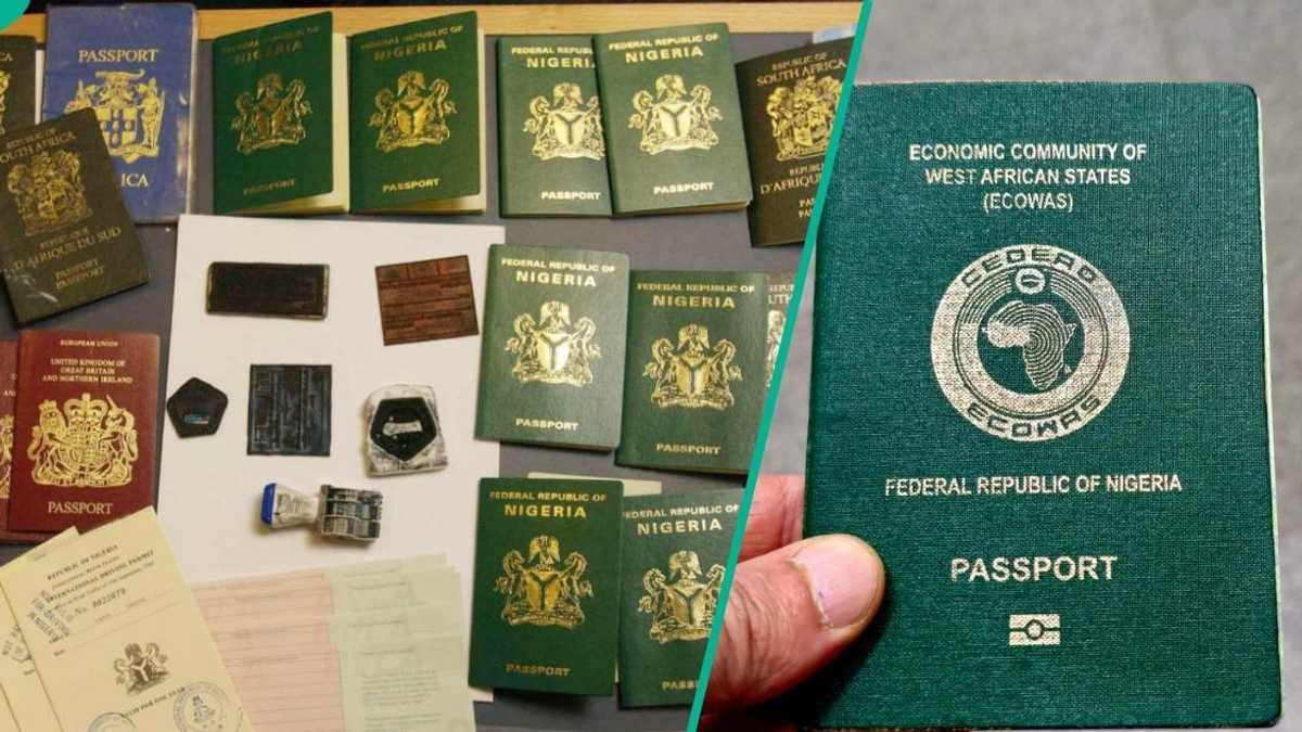 Find out more as Nigerian passport outranks 20 countries in global ranking