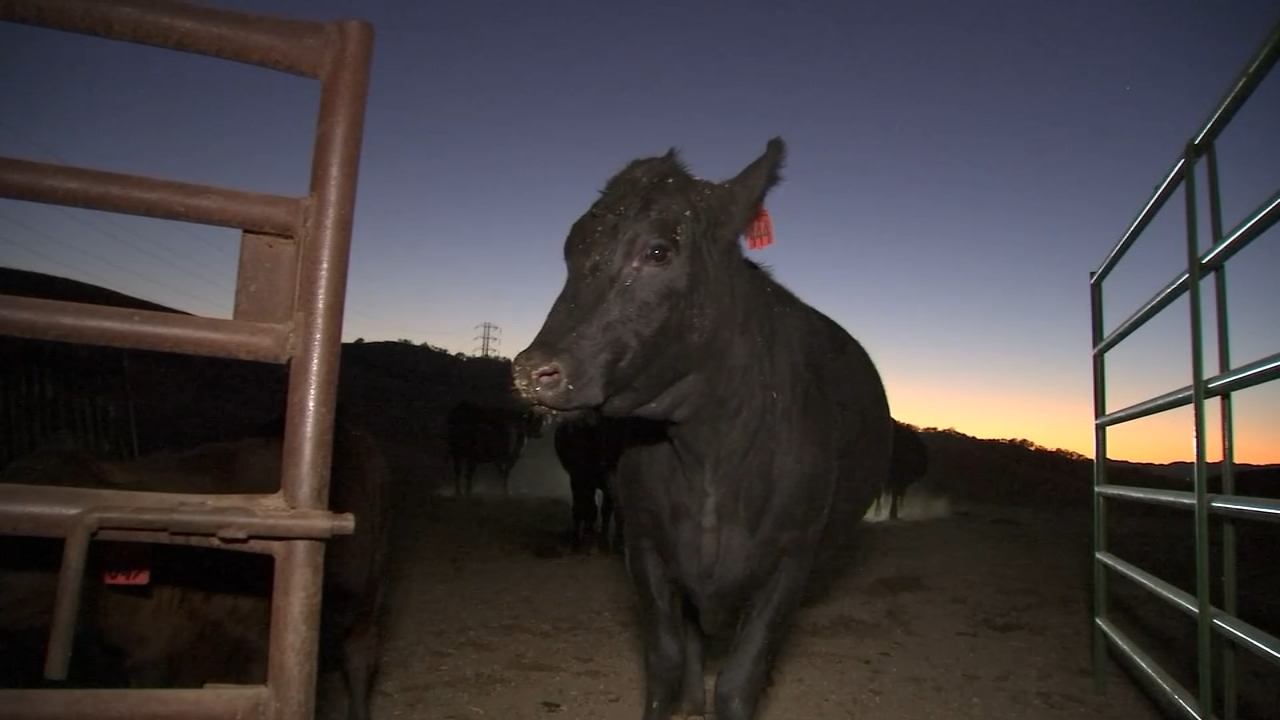 PG&E public safety power shutoffs leave Bay Area ranchers, residents ...