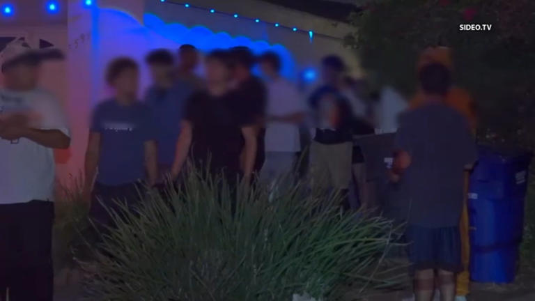 Dozens of partygoers invade, trash, and damage newly renovated Mira ...