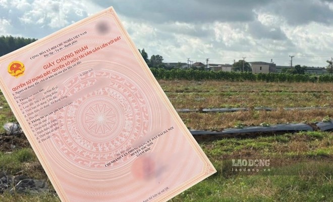 Đất chưa có sổ đỏ, người có quyền sử dụng đất đã mất, Bộ hướng dẫn thủ tục thừa kế