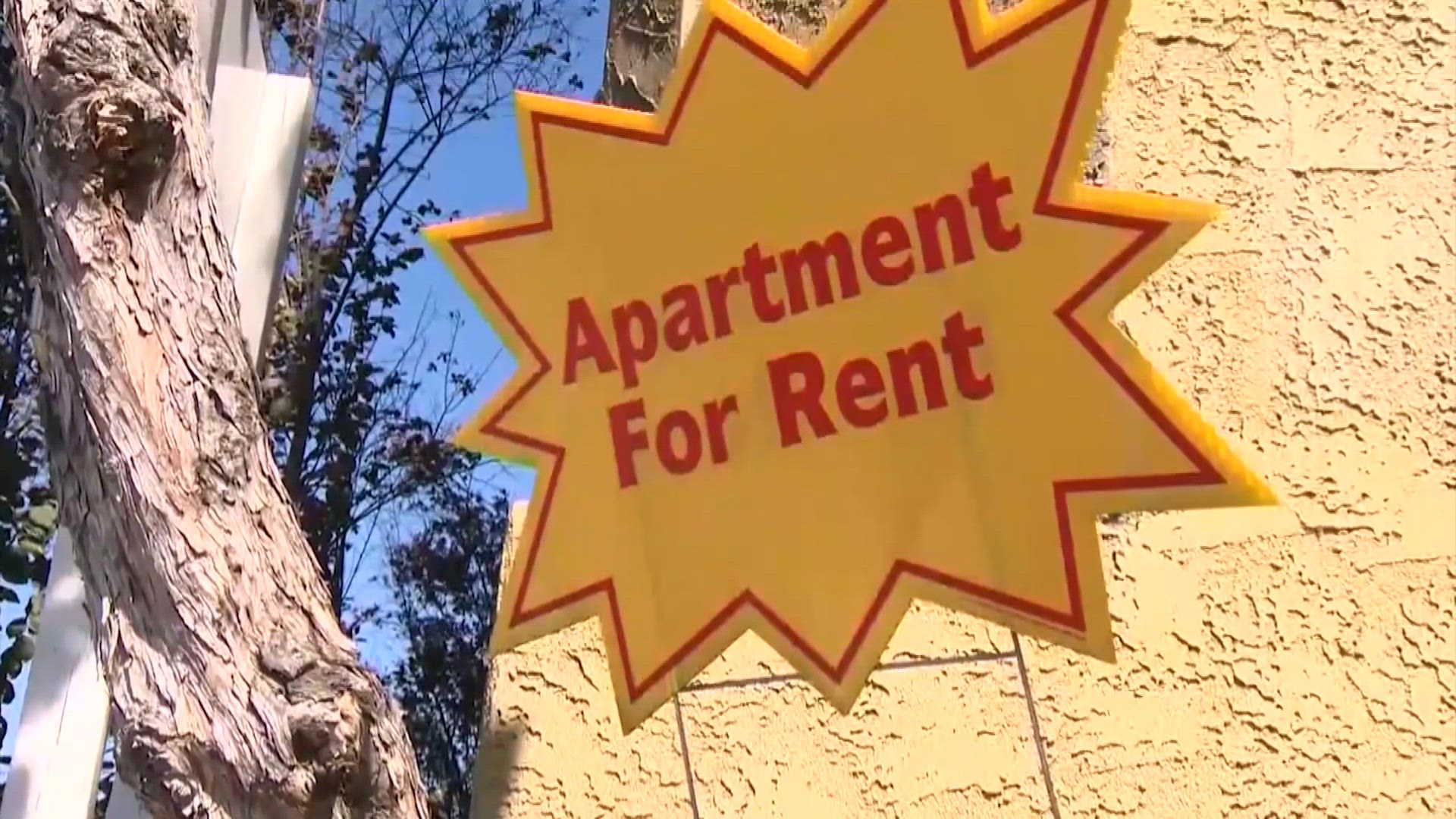 More young adults choosing to move back in with parents