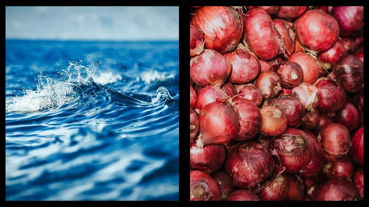 How El Niño affects India's food prices as festive season begins