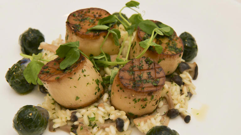 All you need for vegan scallops is this mushroom