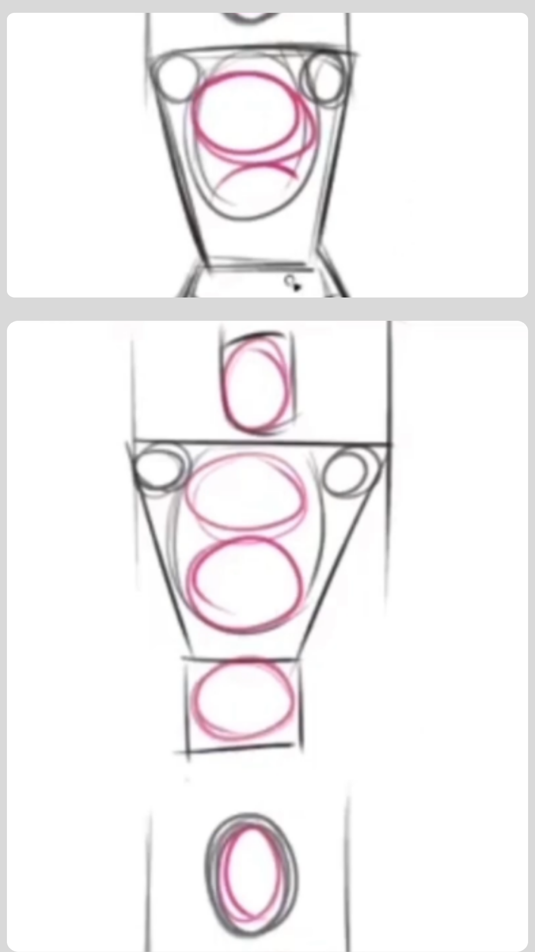 How to draw male and female torsos with human proportions