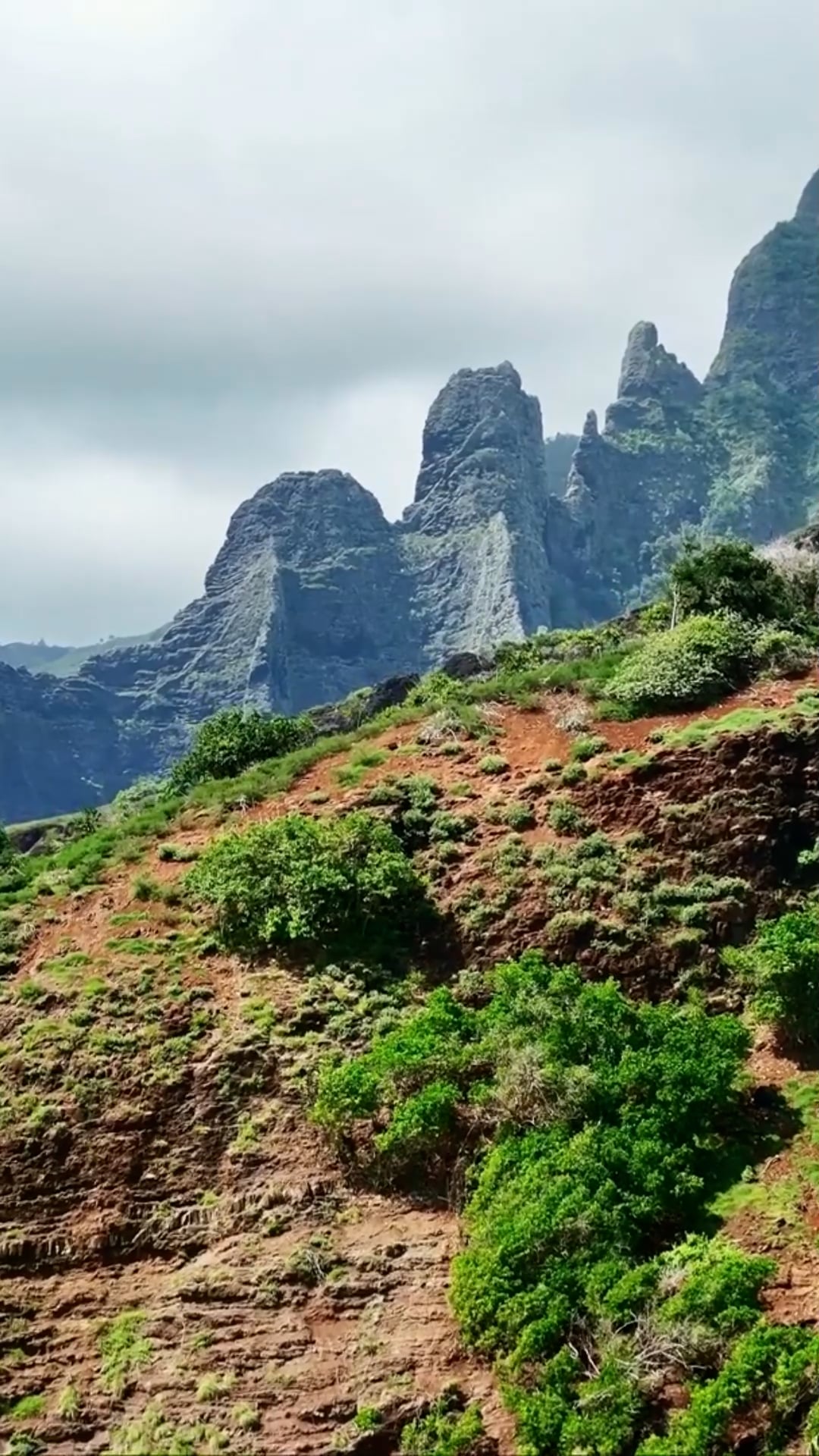 Nuku Hiva, French Polynesia: Drone views of volcanic coast