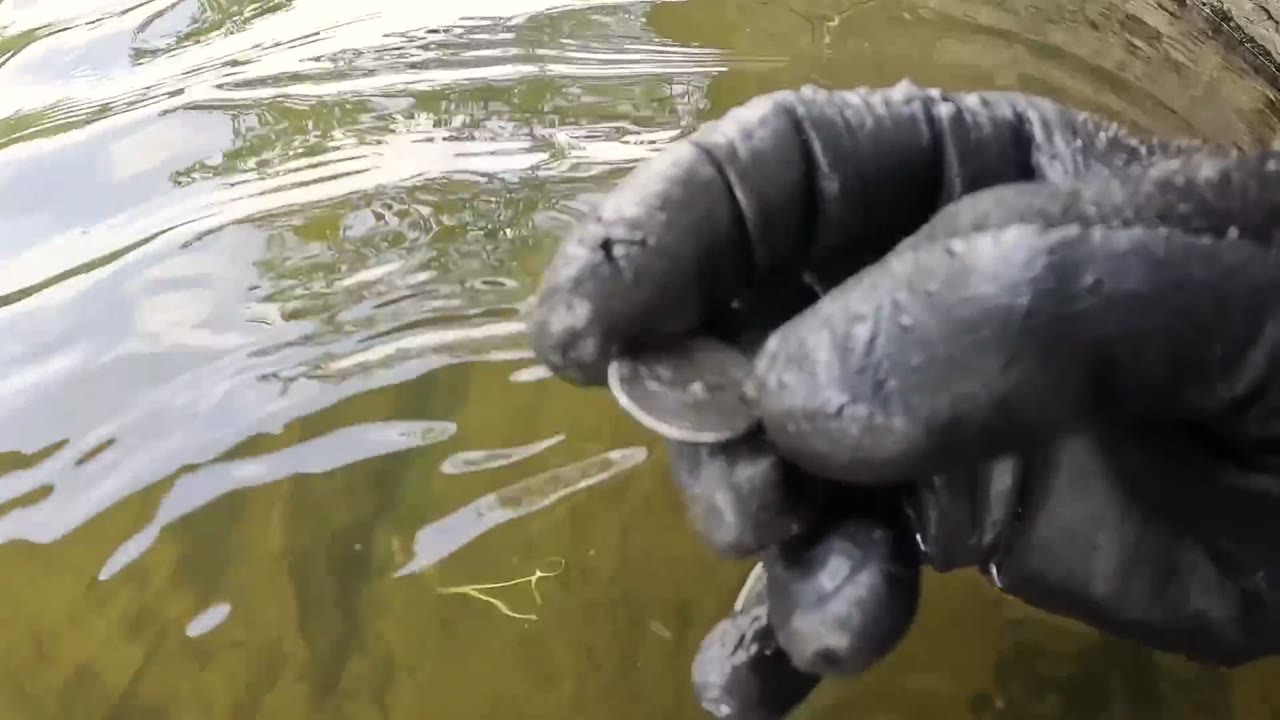 He kept finding fishing weights beneath an old bridge - then his ...