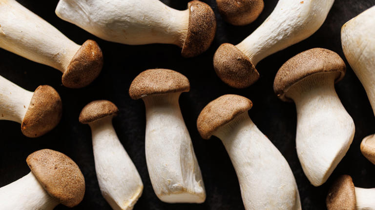 All you need for vegan scallops is this mushroom