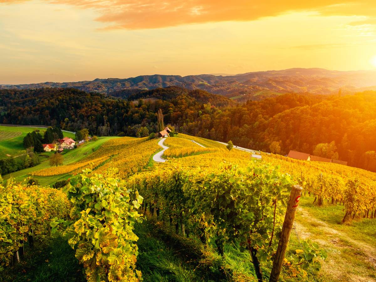 Quando il paesaggio finisce nel bicchiere: 7 territori d’Europa dove il ...