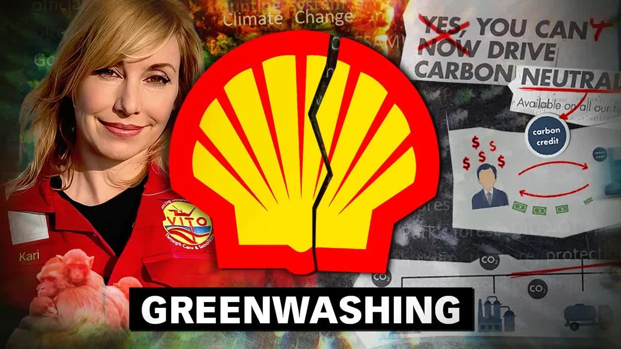 Shell bought millions of carbon credits from a rainforest project - the ...