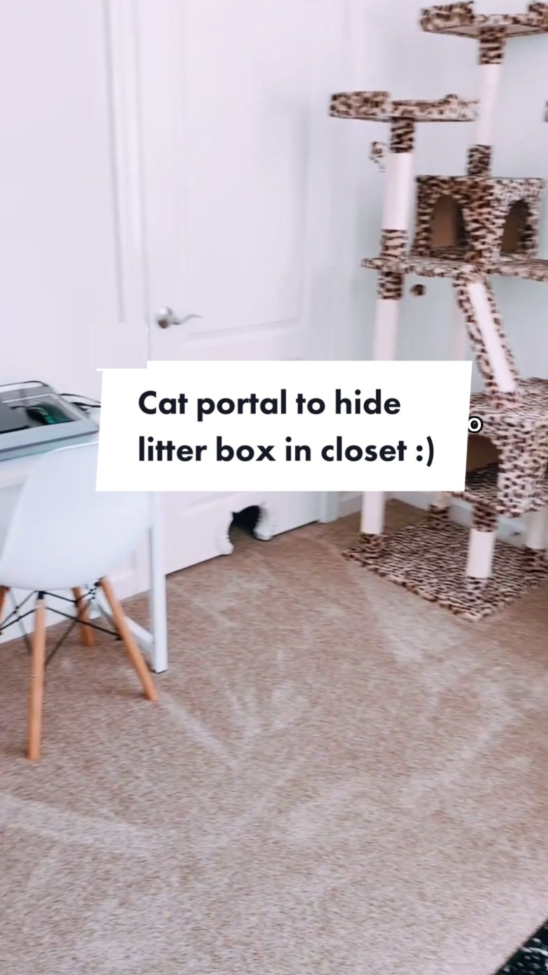A clever cat portal hack that makes litter box access easier