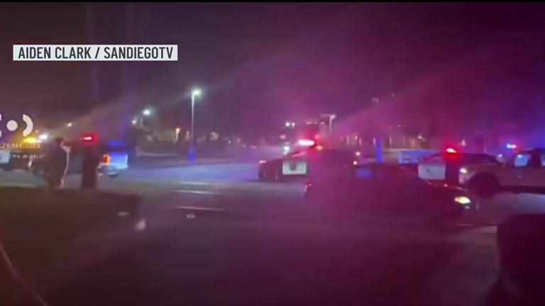 Dozens of partygoers invade, trash, and damage newly renovated Mira ...