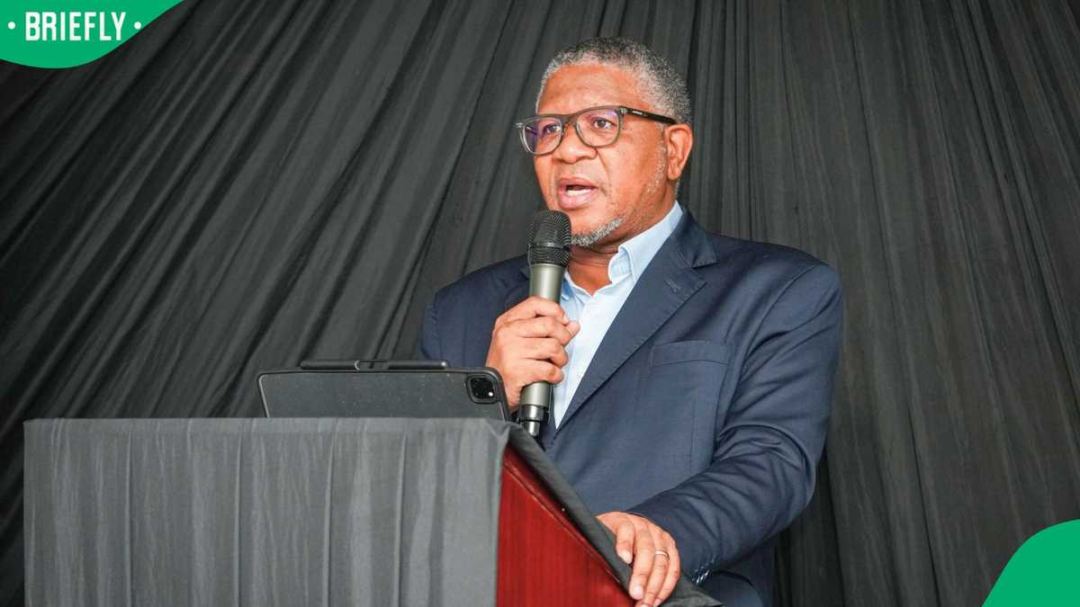 Fikile Mbalula collapses outside ConCourt after ANC wins battle to ...