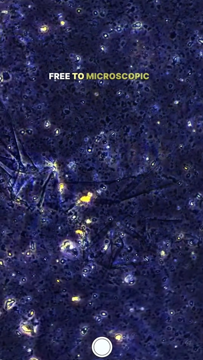 Orange juice looks different under the microscope