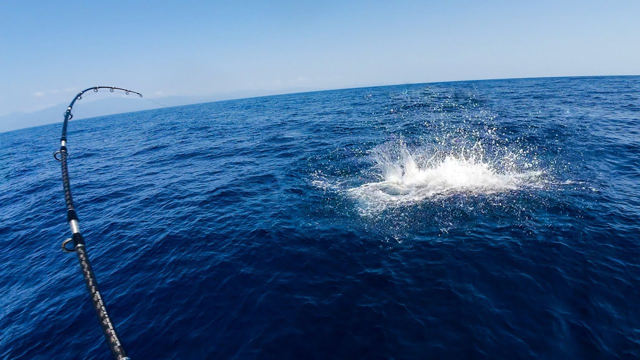 The most insane deep sea trip of my life