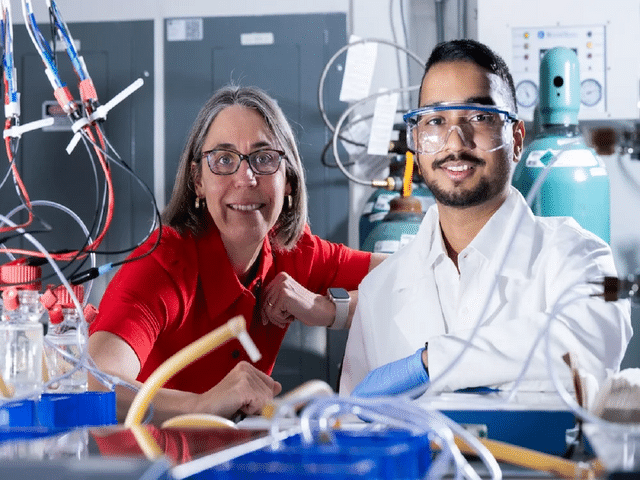 Living batteries: How scientists are exploring electricity generation ...