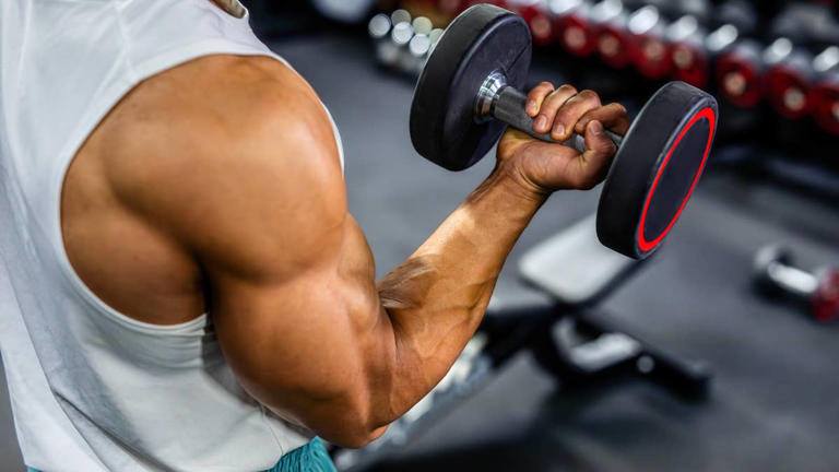 Which workout split is actually best?