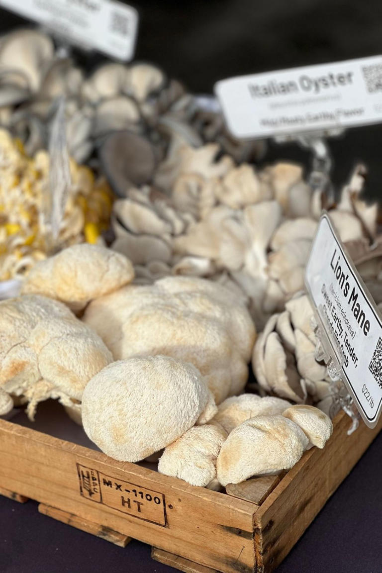 Do medicinal mushrooms actually work?
