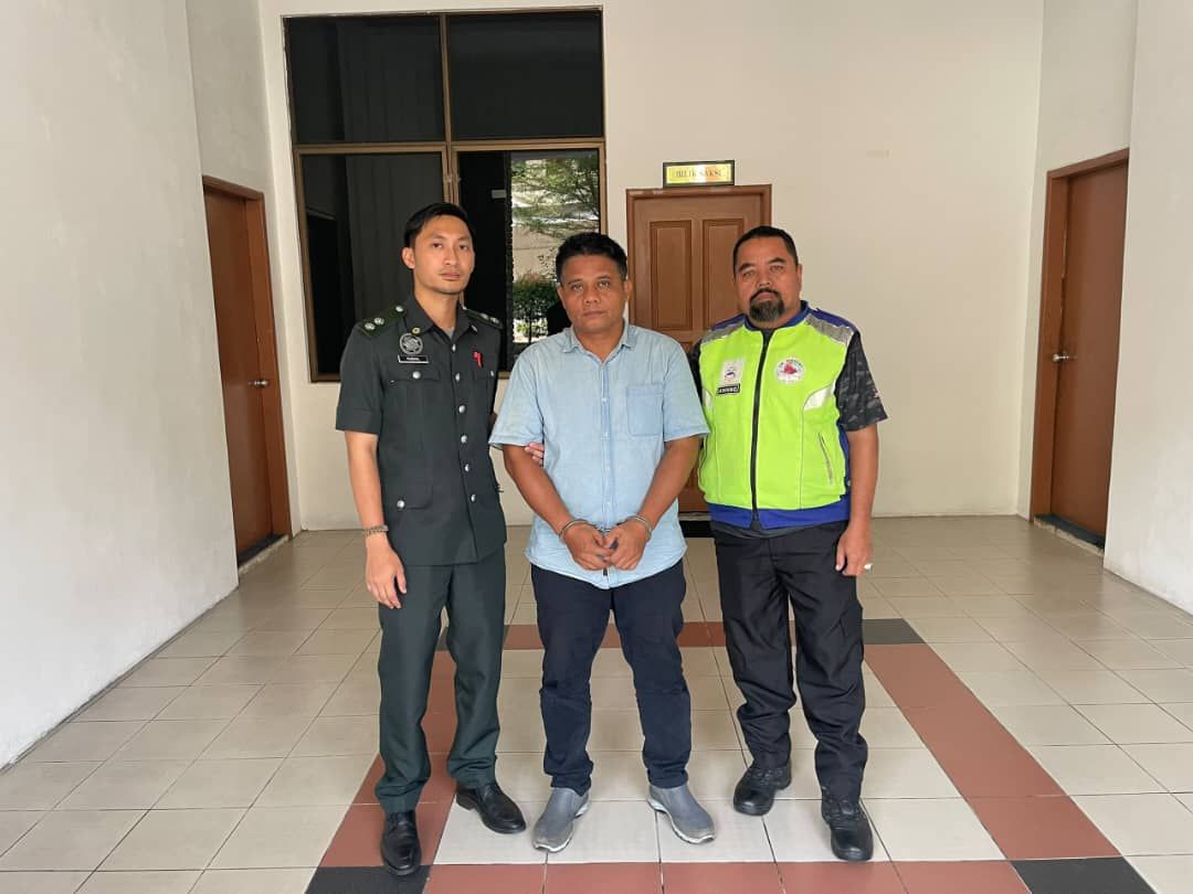 Man jailed, fined RM50,000 for possessing 120 green turtle eggs