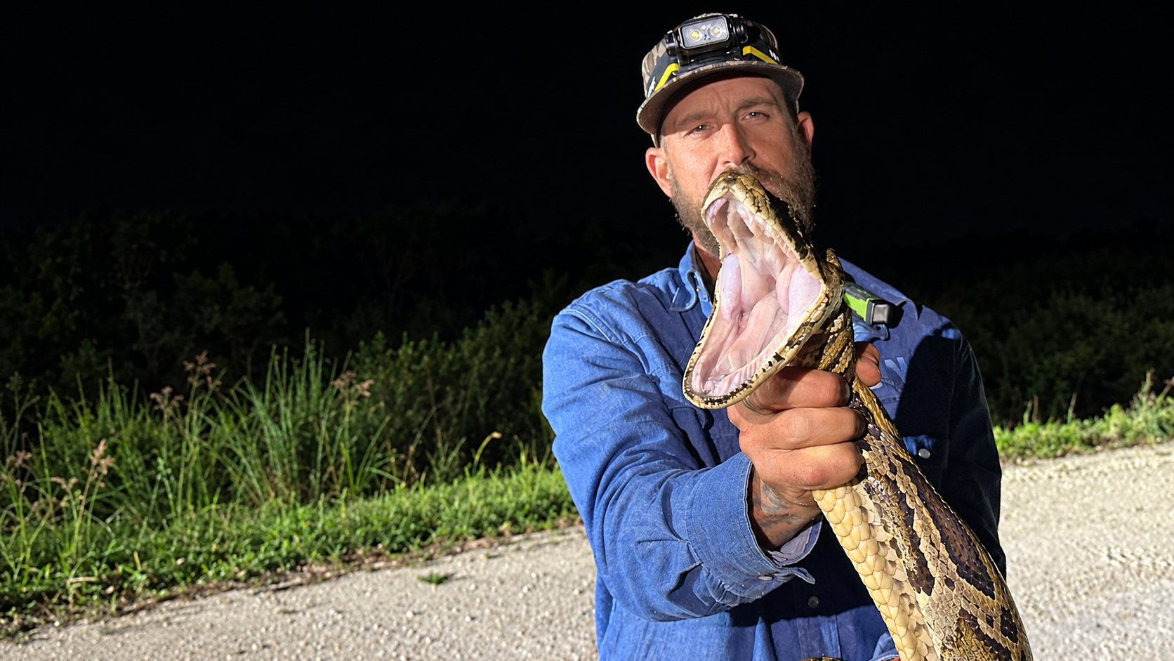 Python Cowboy answers questions from fans