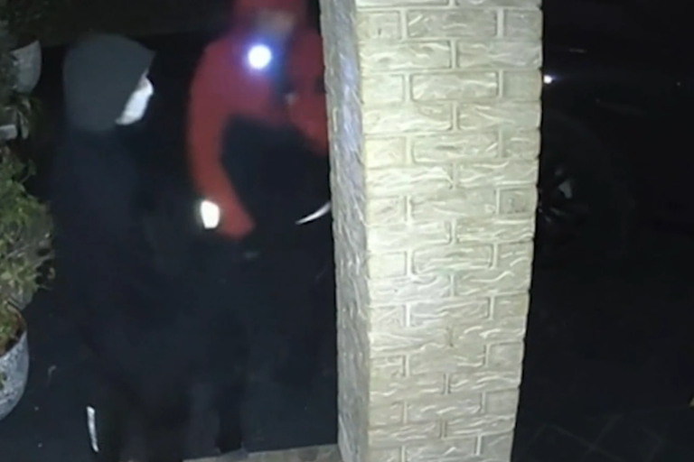 ‘I just stood frozen’: Mother clutches toddler as teens allegedly raid ...