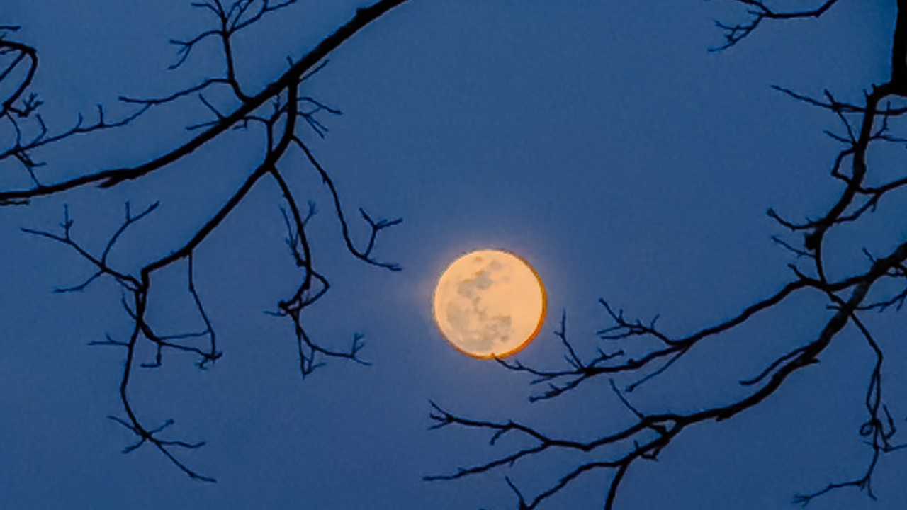 Full hunter’s moon will be on display for days this week