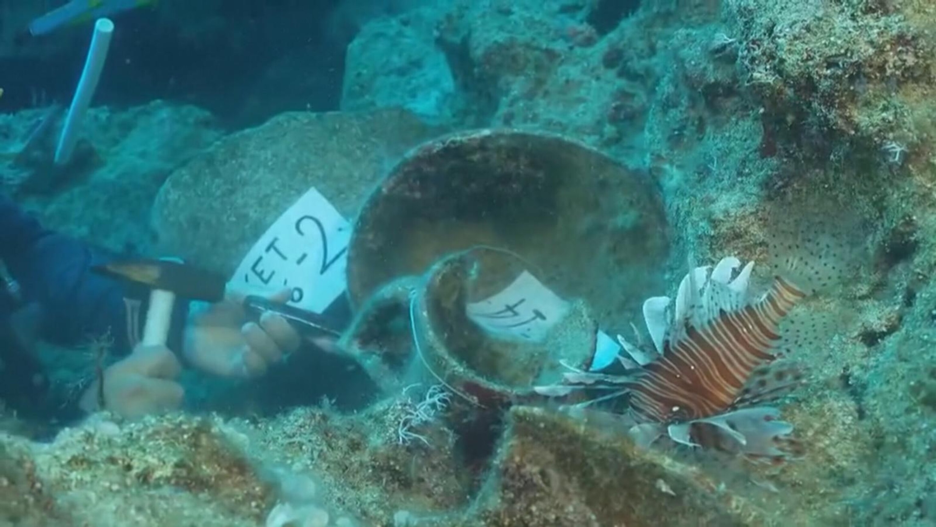 4,700-year-old shipwreck found off coast of Turkey