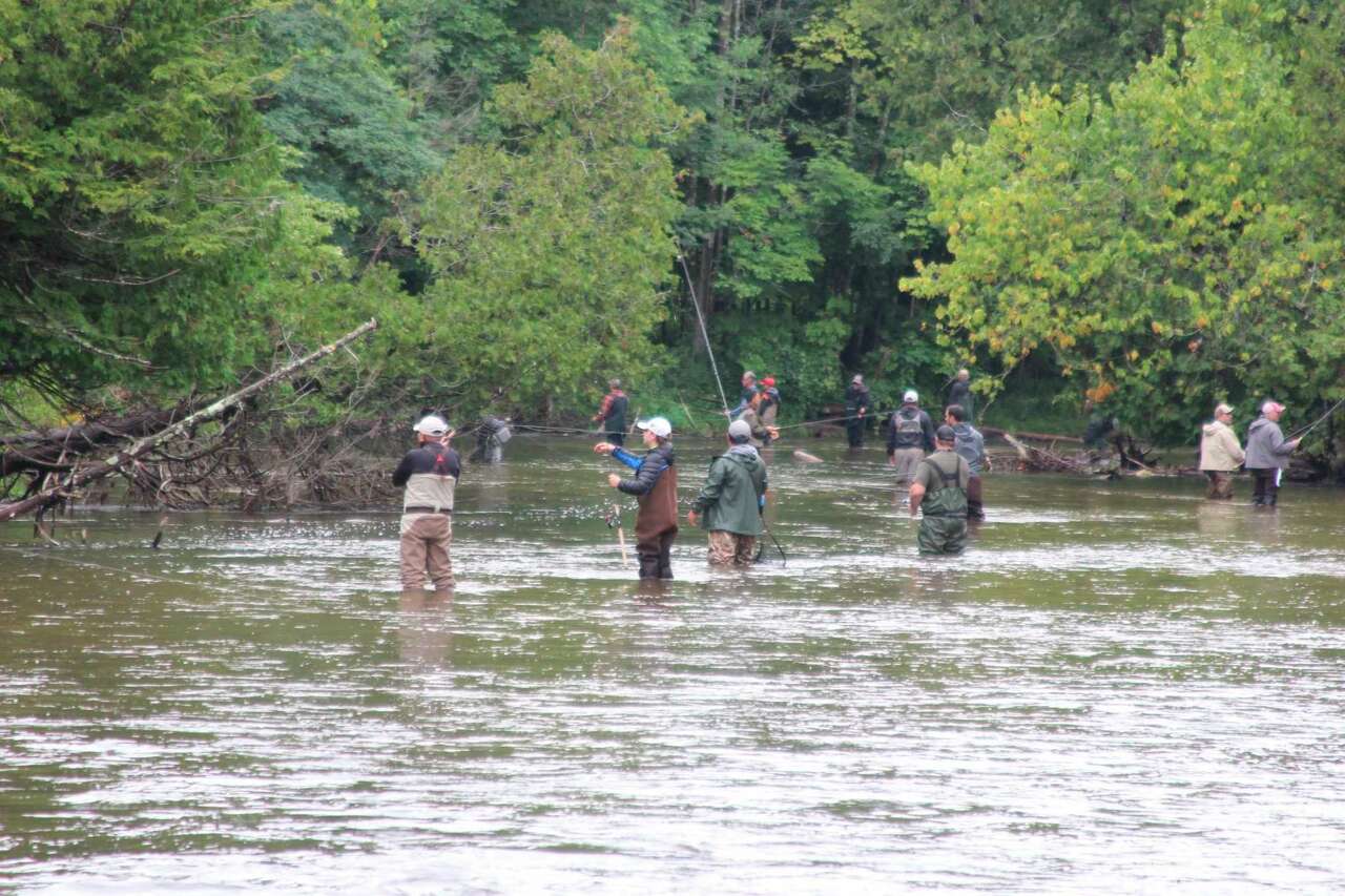 Chinook salmon still entering Betsie River