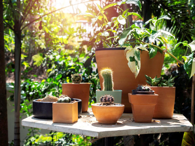 George and Amal Clooney’s terracotta planters add warmth to a winter ...