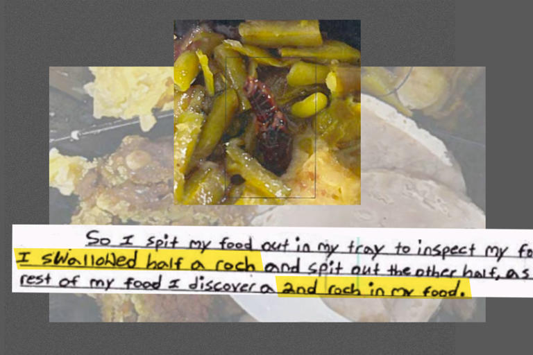 Inmates describe eating mice and bugs in food served at aging DC jail