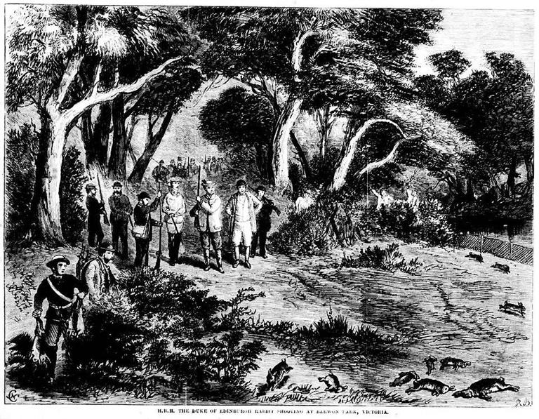 In 1859, a landowner in Australia released 24 rabbits for hunting ...
