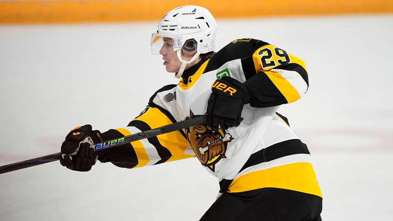 OHL coach says NY Islanders prospect has NHL ceiling few predicted ...