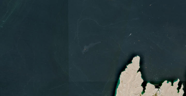 Pictures reveal huge cargo containers floating in Strait of Hormuz