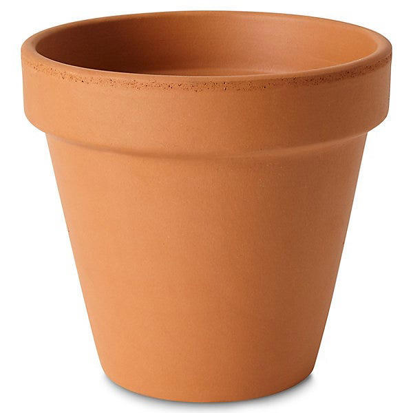 George and Amal Clooney’s terracotta planters add warmth to a winter ...