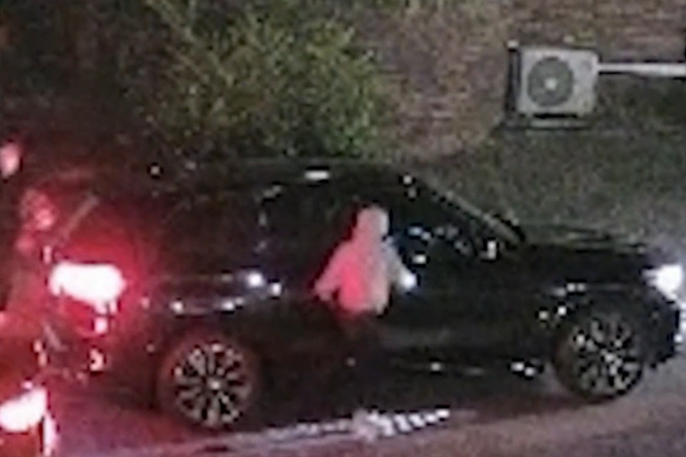 ‘I just stood frozen’: Mother clutches toddler as teens allegedly raid ...