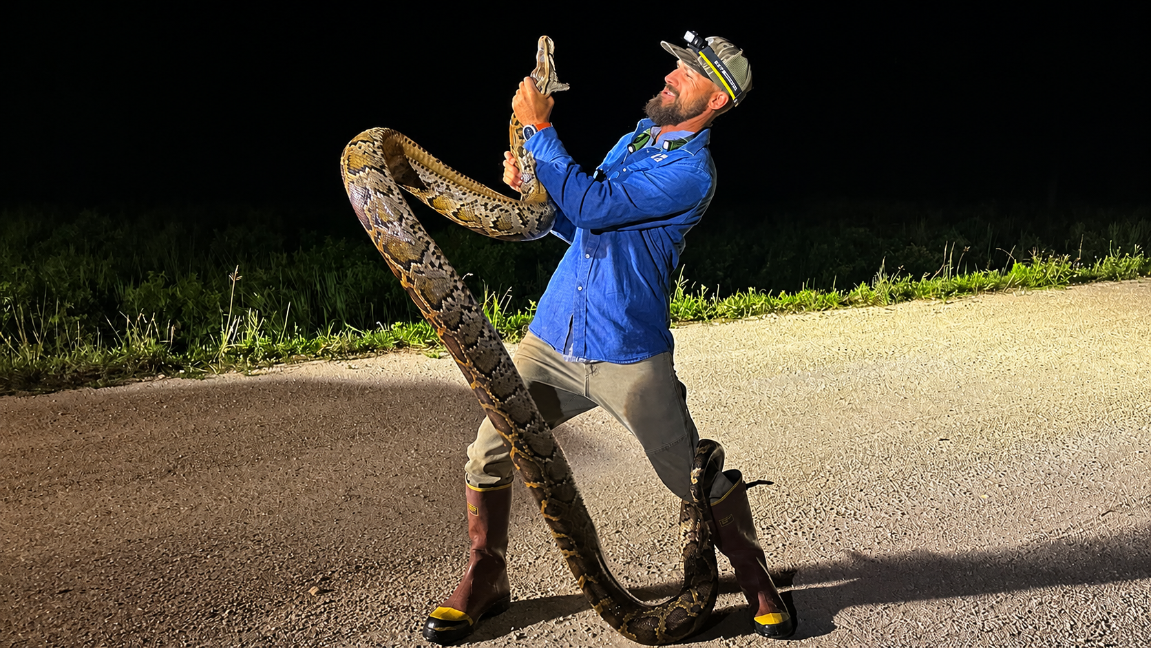 Will the Burmese python problem in the Florida Everglades ever be resolved?