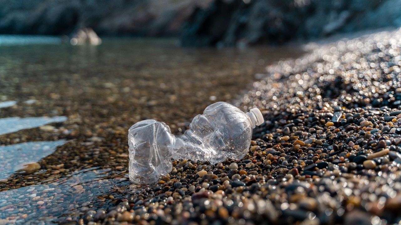 Microplastics now live in our bodies. They can get active, do serious harm