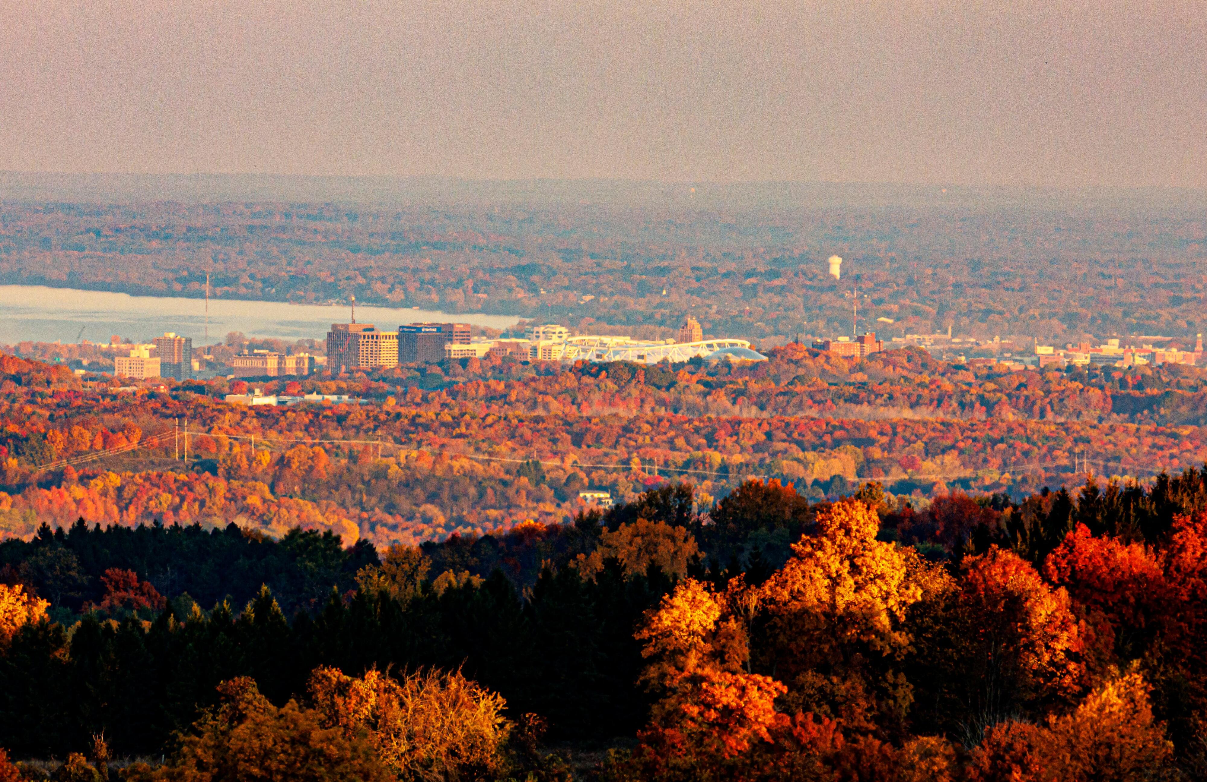 Inside Business Matters: Why 1 new resident sees so much to love in CNY
