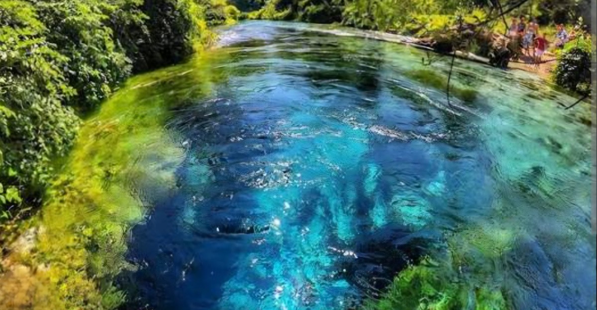 15 spectacular natural pools and springs with incredibly clear water