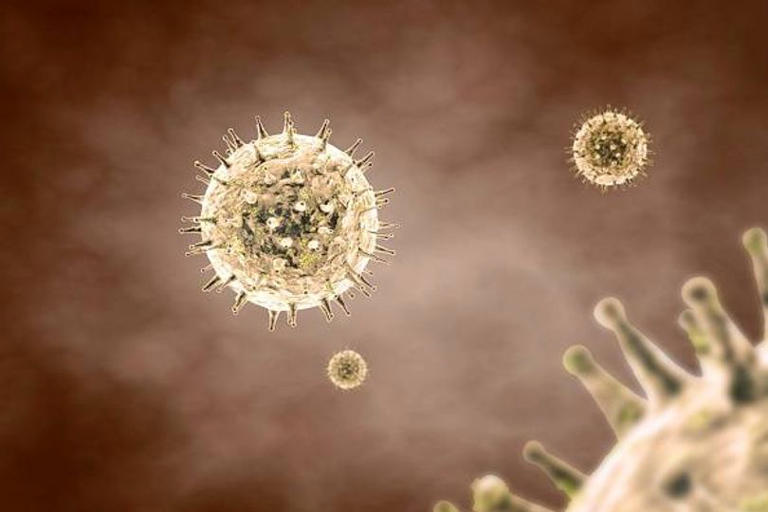 Thousands of mystery viruses found hiding on ocean floor near Hawaii