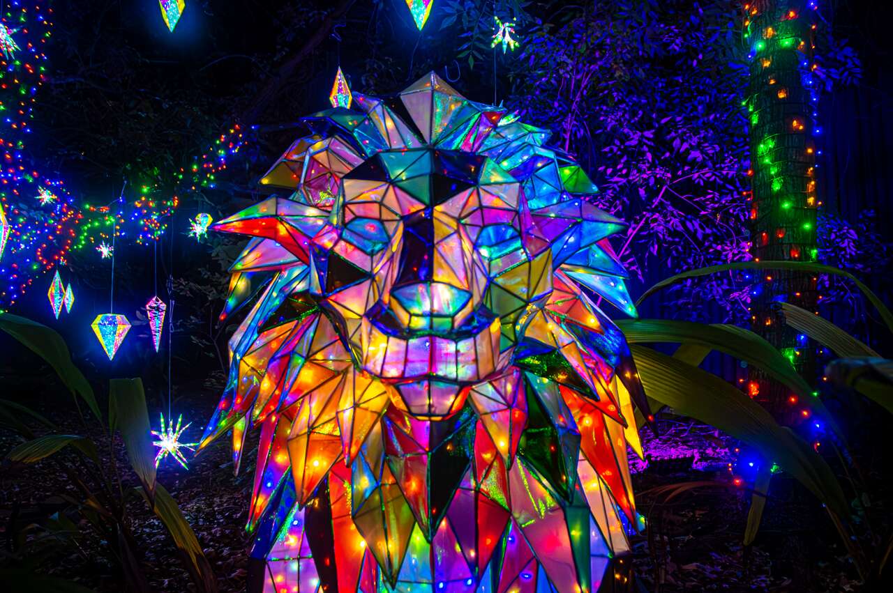 Houston Zoo Lights tickets go on sale for holiday return. Here is what ...