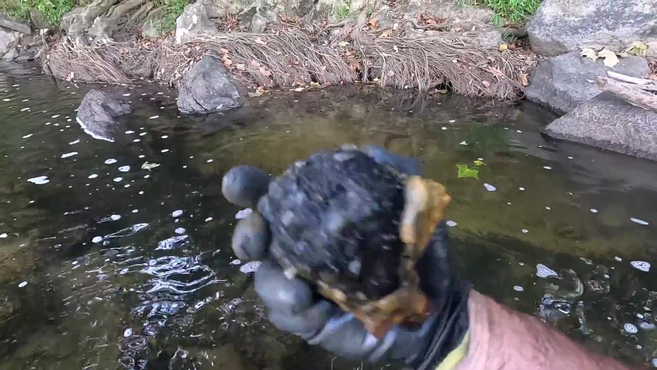 They nearly missed a Confederate artillery shell from the 1860s - it ...