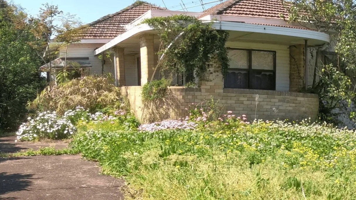 The property looked like a jungle... then the restoration began
