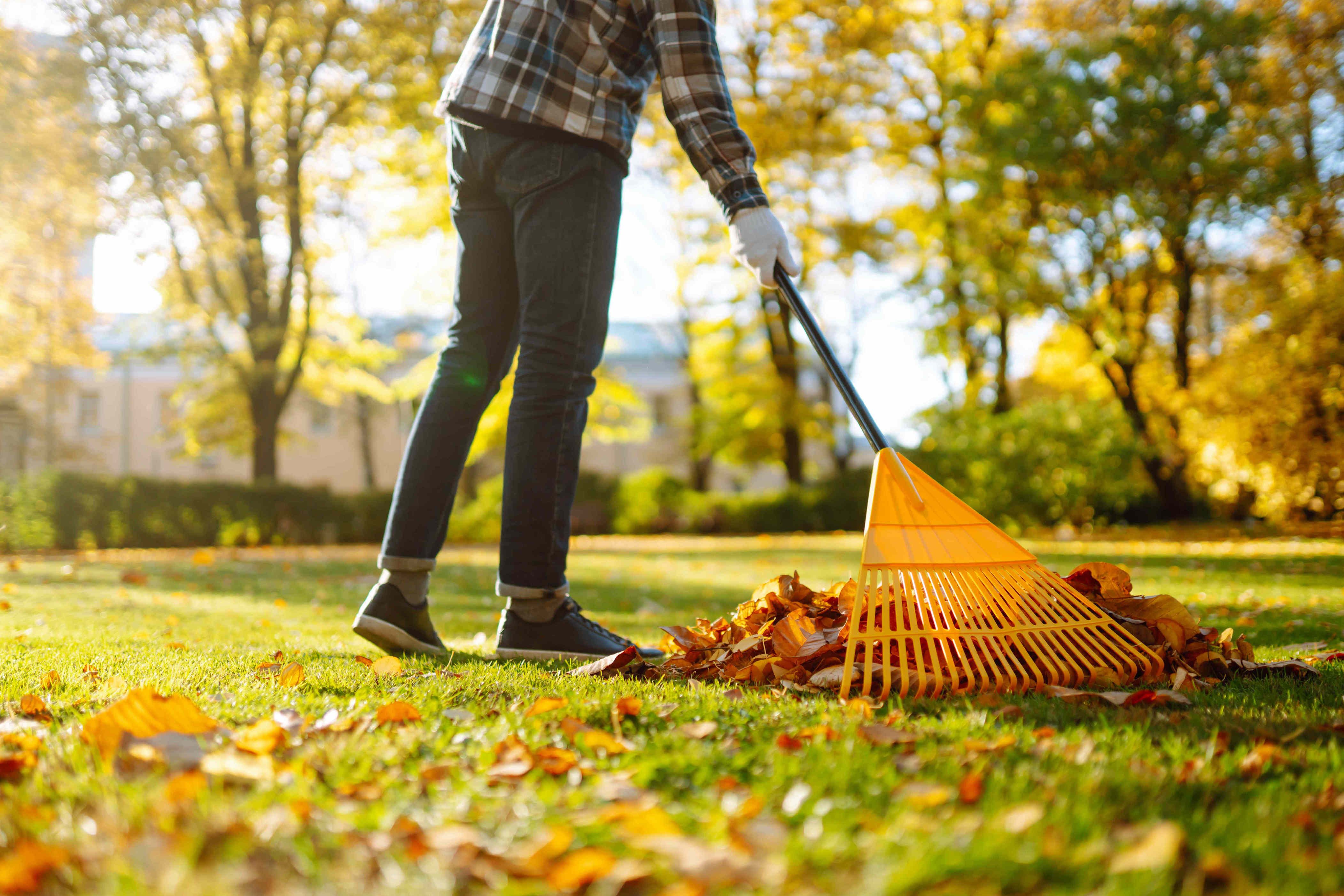 October is one of the best times to revive your lawn—here’s what ...