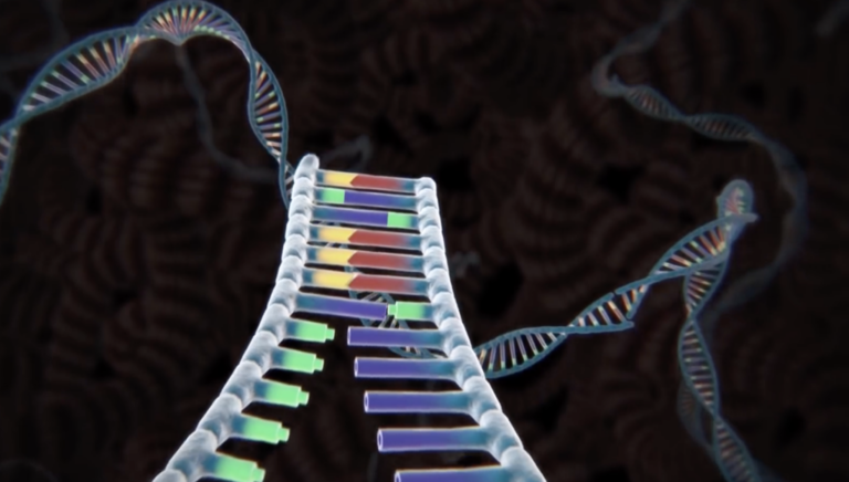 What if human DNA stopped mutating? Cancer could disappear, but ...