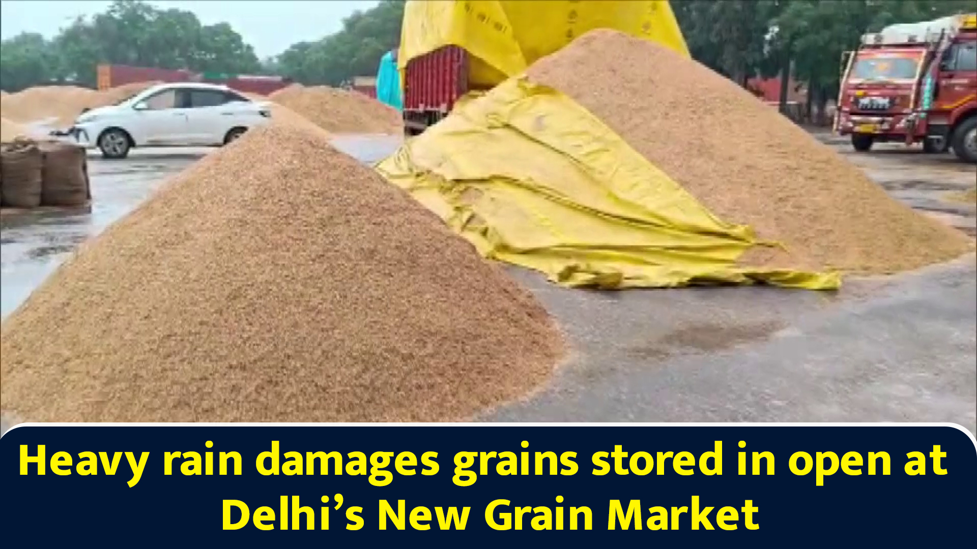 Heavy rain damages grains stored in open at Delhi’s New Grain Market