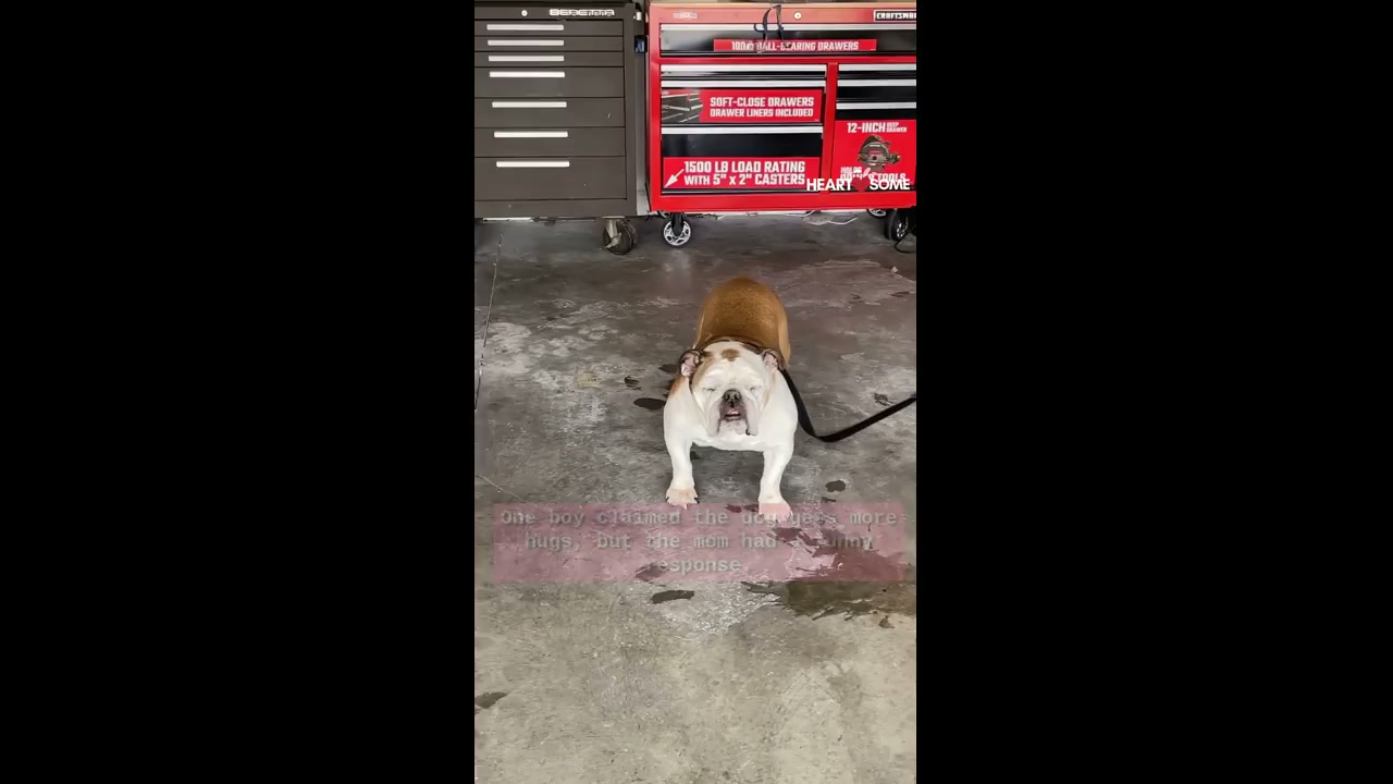 Young boys confront their mother about her preference for the family dog