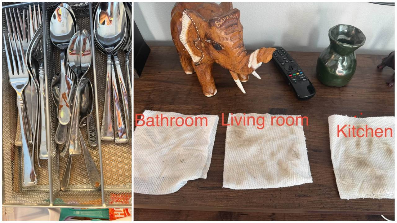 Michigan woman seeks $250 refund after $350 deep clean, claiming poor ...