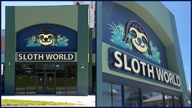 Central Florida Zoo gets $10K grant for sloth rehabilitation efforts