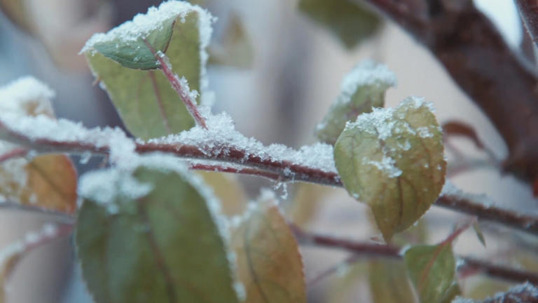 First Alert Weather: Patchy frost possible this weekend over eastern Ozarks
