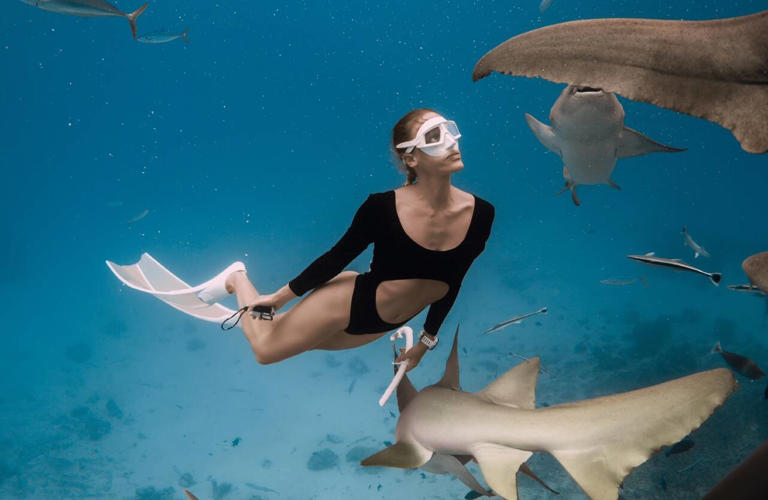 Shark tours make people 40% more likely to protect sharks